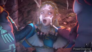 Zelda nsfw