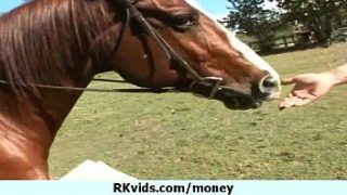 Horse fucking girl