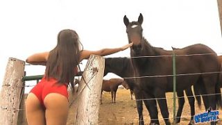 Horse fucks woman