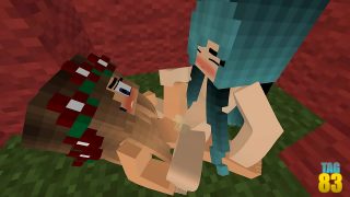 Minecraft sex