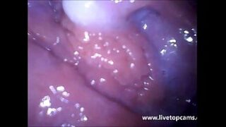 Videos de vaginas