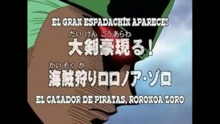 Zoro pelado