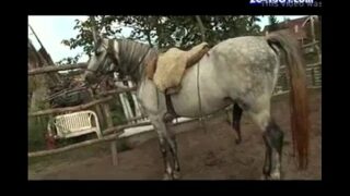 xnxx horse