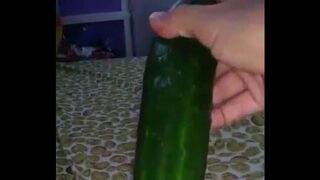 Obejto pepino