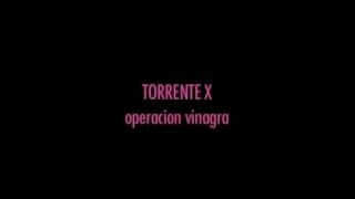 Torrent adultos