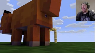 Minecraft gameplay